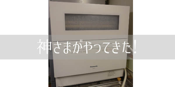 最愛 美品 2019年製 Panasonic 食器洗い乾燥機 NP-TH2-W