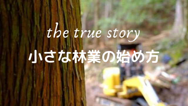 木曜更新 オットの連載 小さな林業の始め方 自伐型林業は儲かるの Nanami In The Forest